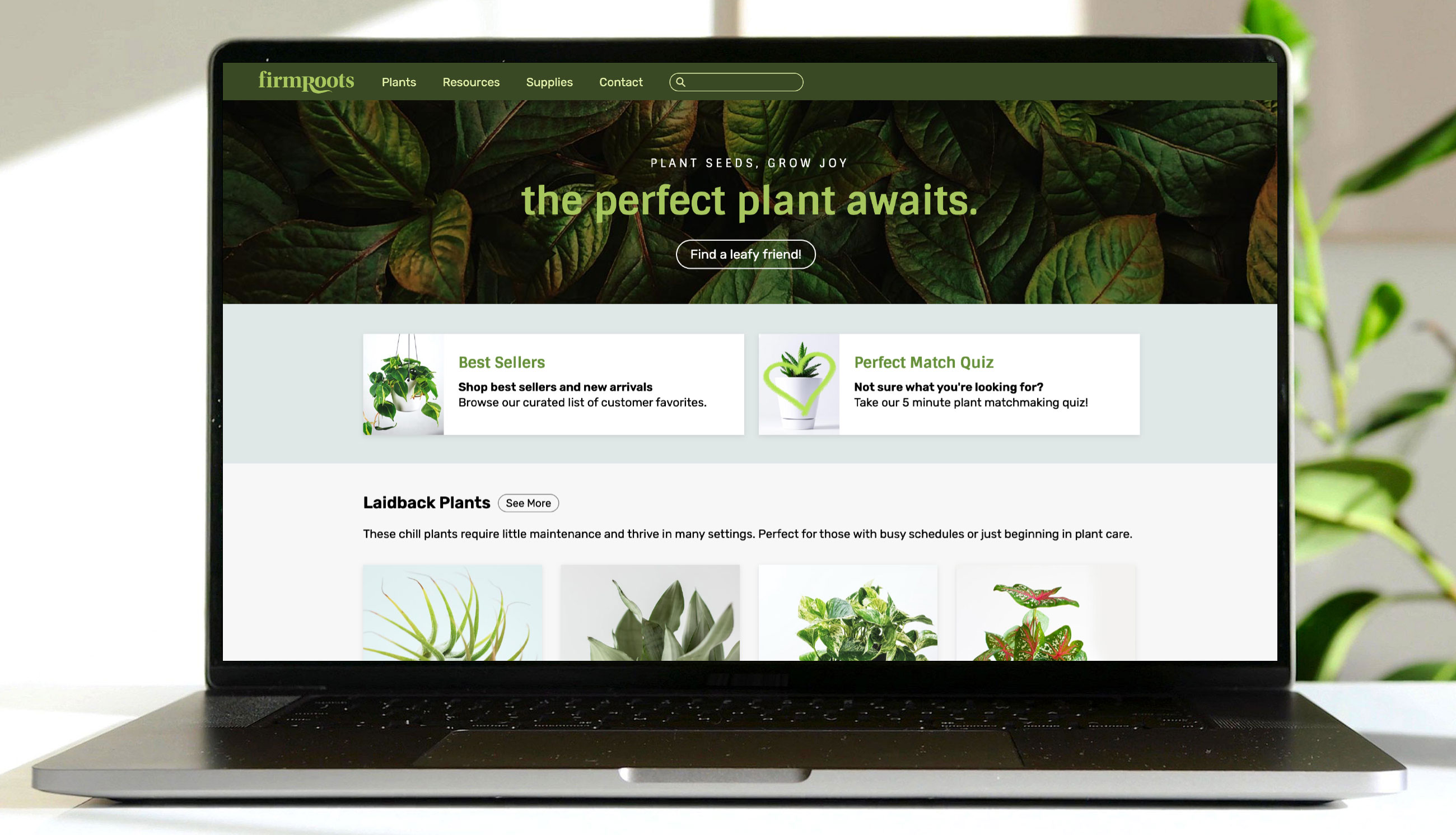 firmRoots Mockup:Landing Page