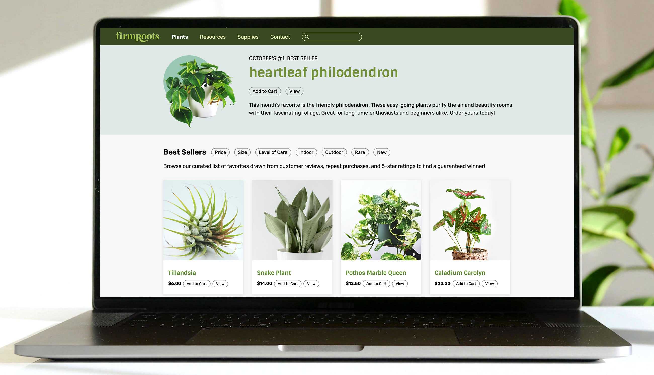 firmRoots Mockup: Best Sellers